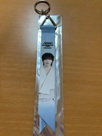 SEVENTEEN 야바톤 본핀 키링 디노