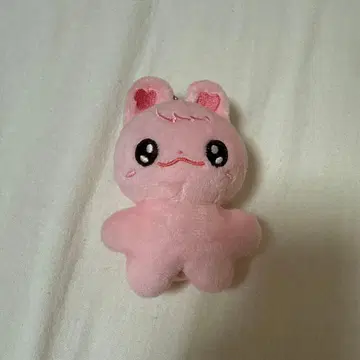 NCTDREAM 재민 봉제 인형 마스터