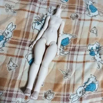 MDD 세미 화이트 모찌바디