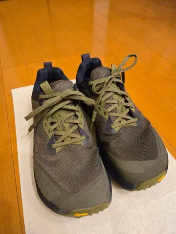 LONE PEAK 9+ Men'sDUSTY OLIVE