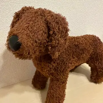 브라운색 강아지 봉제 인형