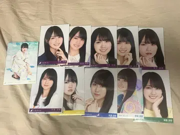 카키 하루카 브로마이드 묶음 판매 요리 앉은 11장