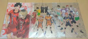 하이큐 원화전 클리어 파일 세트 고양이 부품