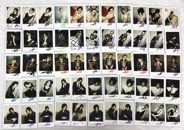 토모 DADAROMA 폴라로이드 75장