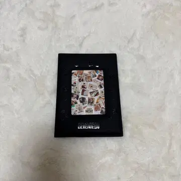 seventeen holiday 여권 케이스