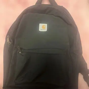 Carhartt 블랙 백팩