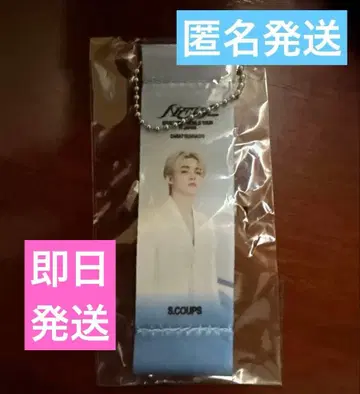 에스크 세부치 SEVENTEEN 플래그 키링 가챠