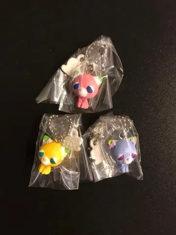 오챠이누 초코 보로 오챠네코 3종 세트