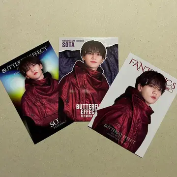 FANTASTICS SOTA BUTTERFLY EFFECT
