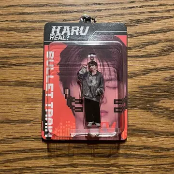 초특급 REAL? 블리스터 키링 하루