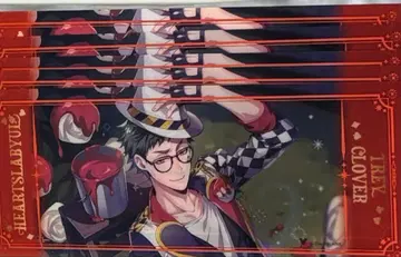 트위스테 AGF 금박 빅 클리어 카드 컬렉션 트레이 5장