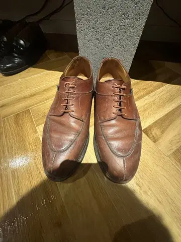 파라부트 아비뇽 마론 사이즈 7