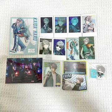 니지산지 카이다 하루 묶음 판매