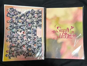 앙스타 스타포니 팜플렛