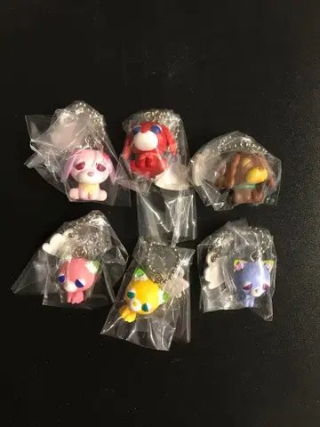 오챠이누 초코 보로 6세트