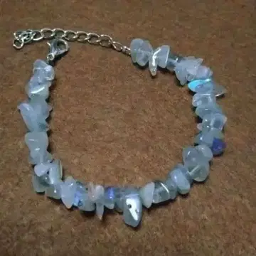 래브라도 라이트 팔찌