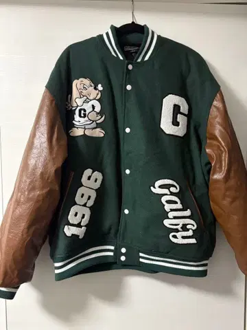 GALFY 자수 바시티 자켓 대형견