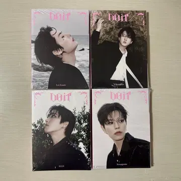 doit 아코디언 리노 창빈 한 승민