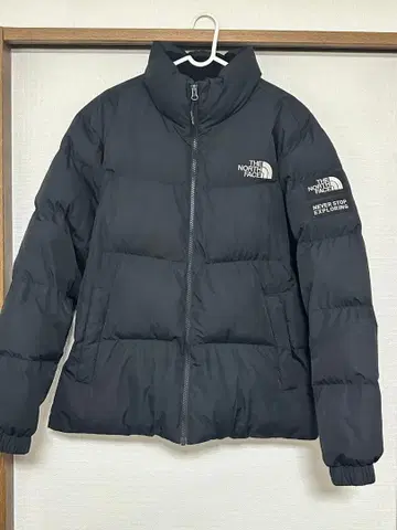THE NORTH FACE 블랙 다운 자켓 L ON-BALL