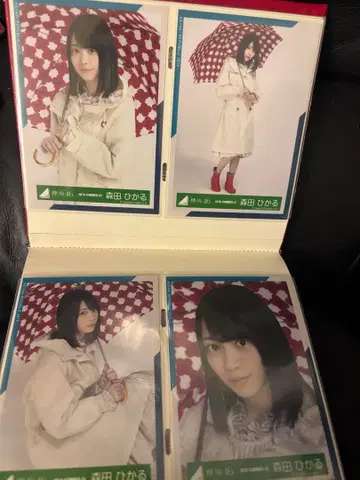 모리타 히카루 브로마이드 컴프