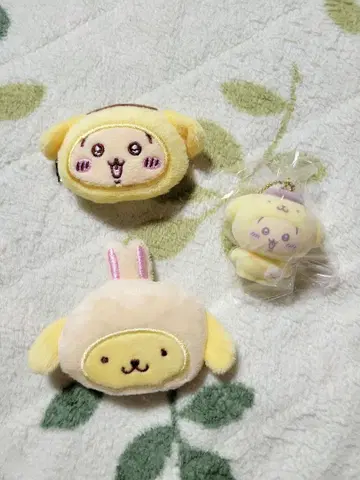 치이카와 산리오 토끼 폼폼푸딩