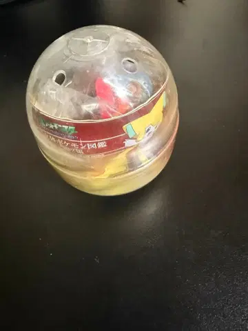 입체 포켓몬 도감 마그카르고 마그마그