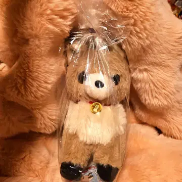 꼬마 루돌프 벨르 JB