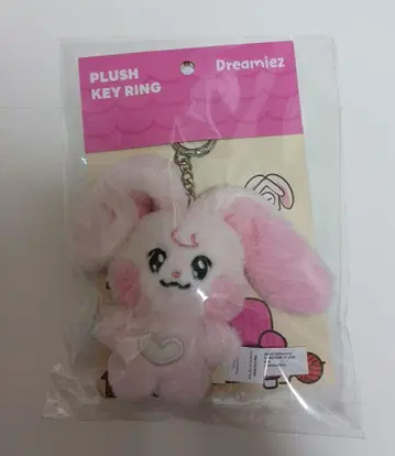 NCT DREAM 팝업 봉제 인형 키링 재민