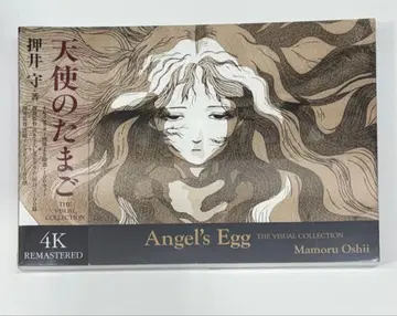 천사의 알 오시이 마모루 아마노 요시타카 더 비주얼 컬렉션