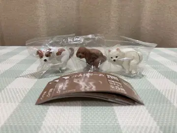 굼벵이 굼벵이 3개 토이 푸들 포메라니안 잭 러셀