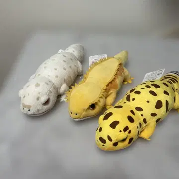 레오파의 키이쨩 룰루랄라 기분 도마뱀 봉제 인형 3체 세트