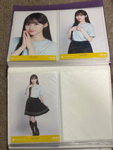 카와사키 사쿠라 생사진 컴프 쿠보 시오리 졸업 콘서트  라이브t 노기자카