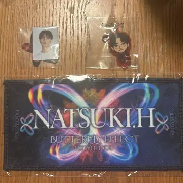 호리 나츠키 회장 가챠 세트