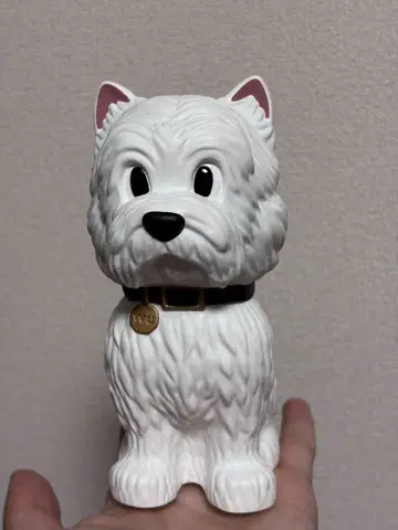 NEIGHBORHOOD VCD WU (small) 2024