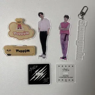 stray kids 승민 아크릴 스탠드 아크릴 키링 묶음 판매
