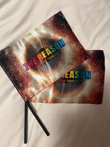 EXILE LIVE 2025 'THE REASON' 플래그 2개 세트
