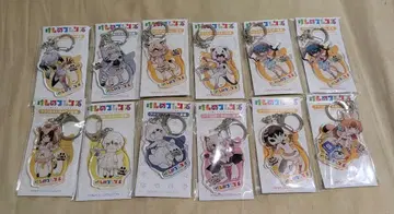 케모노 프렌즈 아크릴 키링 도감 11종