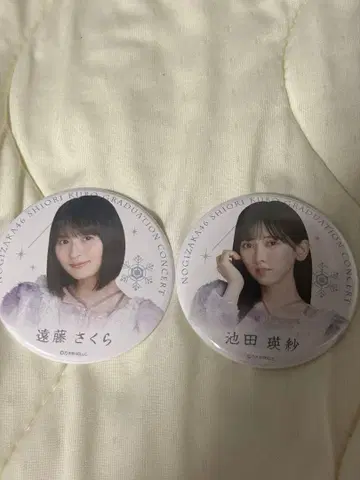 노기자카46 엔도 사쿠라 이케다 테레사 캔뱃지 세트