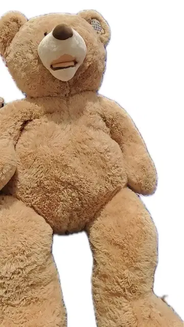 코스트코 곰 봉제 인형 12일까지 한정 가격 인하