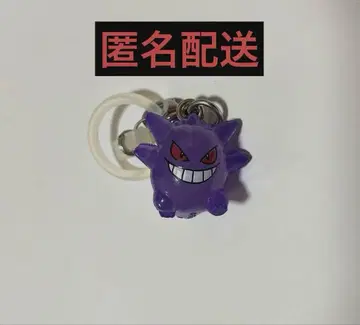 포켓몬 메지루시 액세서리 겐가