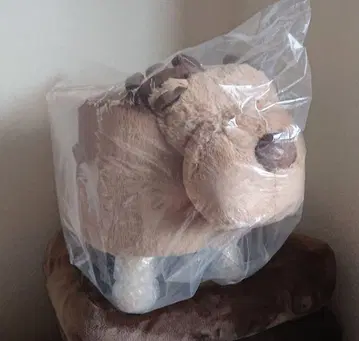 따뜻한 루돌프 툴