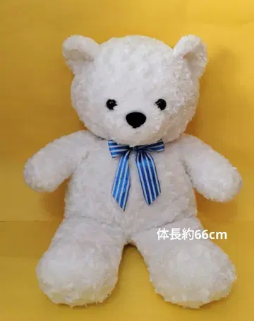 화이트 곰 봉제 인형 (체장 약 66cm)