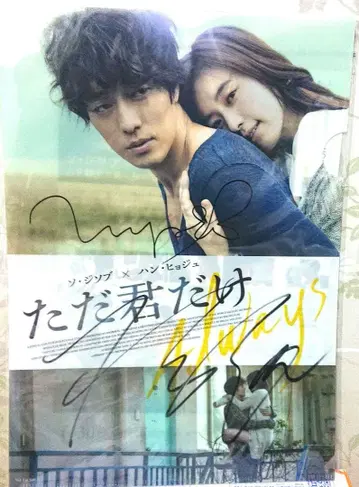 한효주 친필 사인 클리어 파일 당선품 당선 한국 드라마