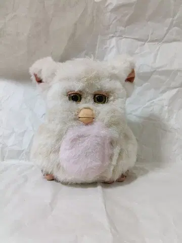 퍼비2 캐러멜 시럽