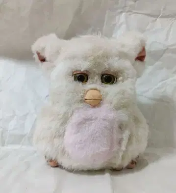 퍼비2 캐러멜 시럽