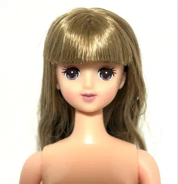 리카짱 캐슬 제니 프렌드 애니