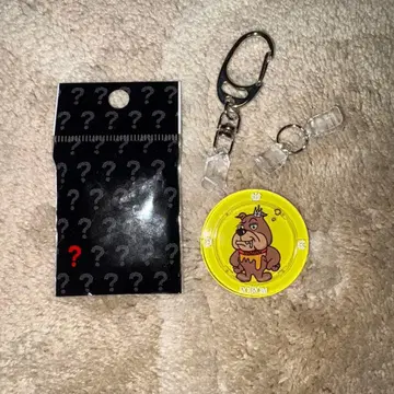 ROIROM 랜덤 럭키 코인 하마카와 로지 로로