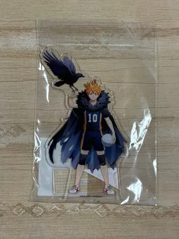 하이큐!! 아키하바라 팝업 스토어 하이드리 아크릴 스탠드 히나타 쇼요