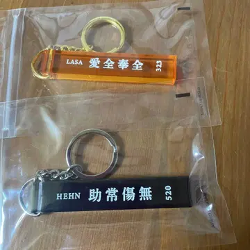 후지이 카제 키링