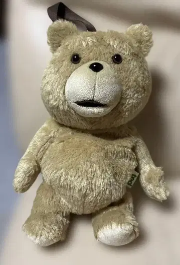 레어 선 애로우 Ted 테드 봉제 인형 파우치 2013 SUN ARROW